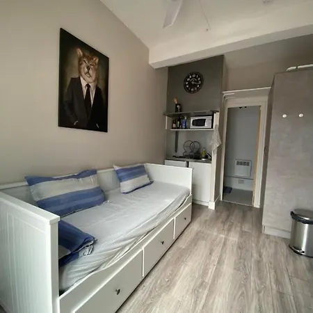 - Hyper Centre Quartier Saint-cyprien - Tv, Ll, Idéal Pour Visiter La Ville Rose